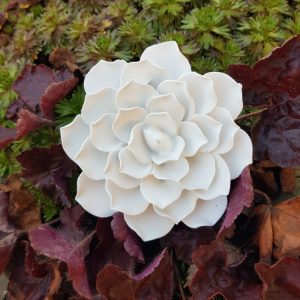 *Silikon – Gießform – Kamelien Blüte – Blüte*