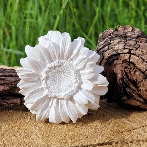 *Silikon – Gießform – Gerbera – Blüte – aufgeblüht*